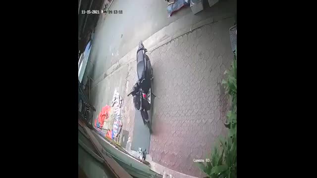 Video-Hot - Video: Bị chó đuổi khi đang bẻ khóa xe SH, tên trộm 'bỏ chạy mất dép'