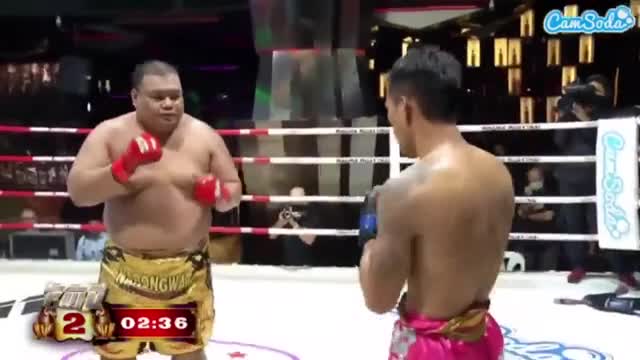 Video-Hot - Video: Chỉ bằng một cú đá, võ sĩ Muay Thái hạ gục đối thủ 'khổng lồ'