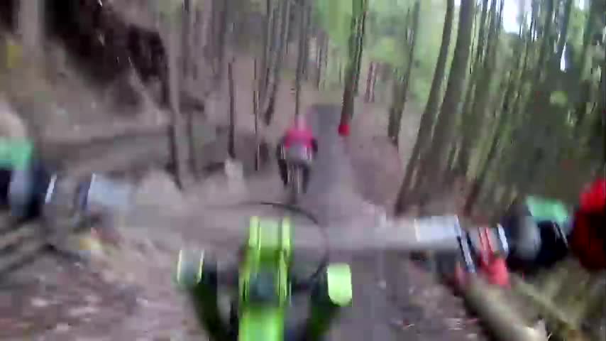 Video - Video: Đang đạp xe xuống dốc, vận động viên hết hồn cảnh gấu lớn bất ngờ 'vồ' ra đường