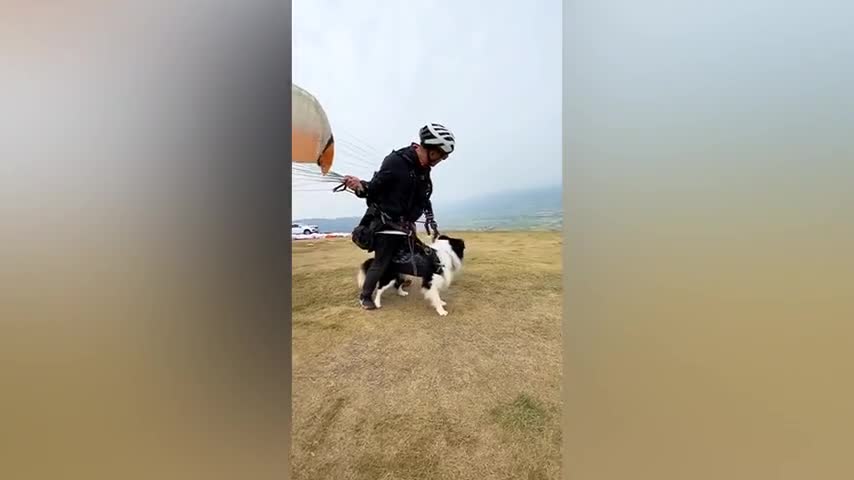 Video - Clip: Người đàn ông chơi dù lượn cùng chó cưng