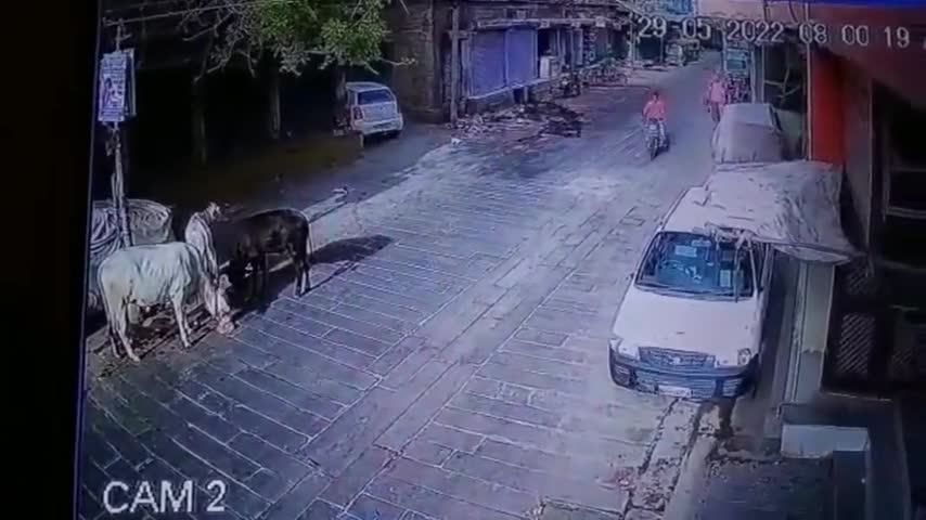 cctv-captures-the-moment-a-tree-uproots-and-falls-on-motorbike-and-pedestrians-in-rajasthan-india---buy-sell-or-upload-video-c-480p.mp4
