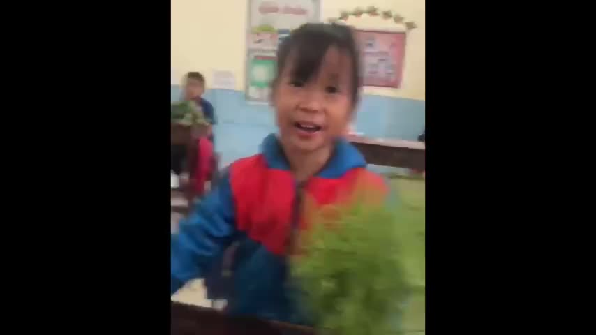 Chuyện học đường - Xúc động bó hoa rừng tri ân thầy cô ngày Nhà giáo Việt Nam của học sinh vùng cao