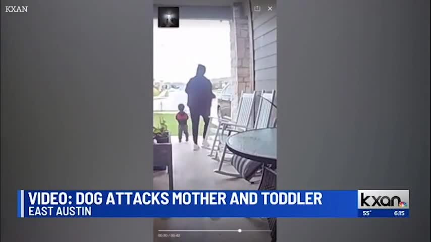 Video-Hot - Kinh hoàng cảnh hai mẹ con bị chó Pitbull tấn công trước cửa nhà