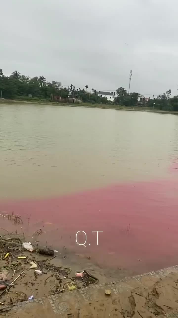 Tin trong nước - Vụ nước sông Hiếu ở Quảng Trị chuyển màu đỏ bất thường: Lấy mẫu kiểm tra